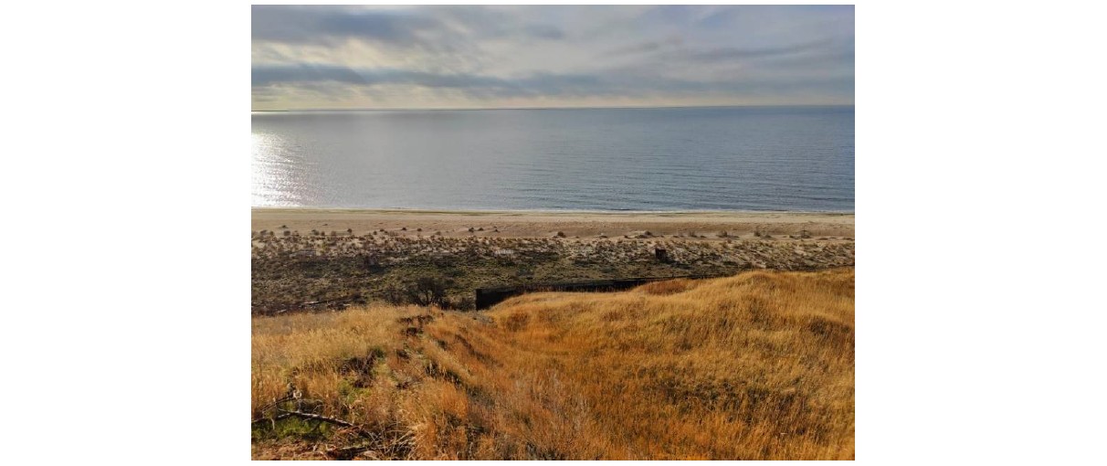 Мастер-план комплексной застройки в с. Широкино